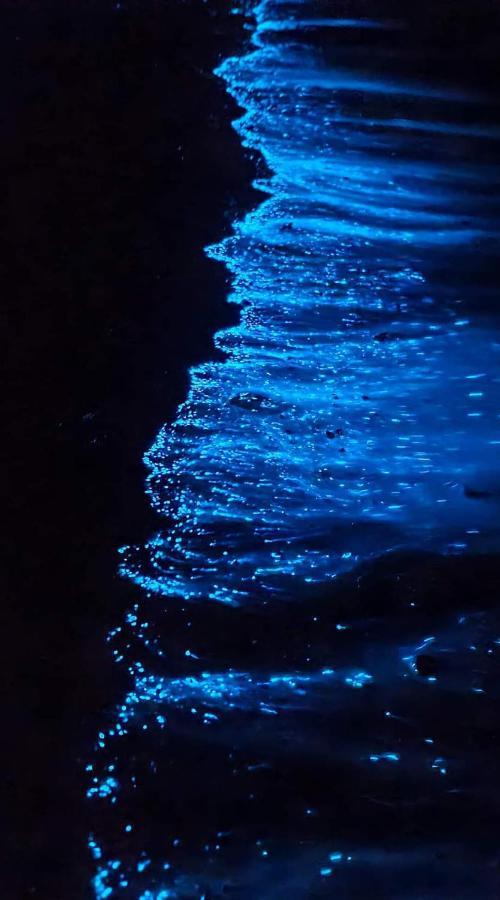 Rashuthere Maldives Rasdhoo Bagian luar foto