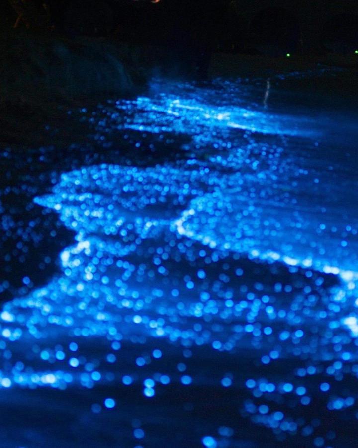 Rashuthere Maldives Rasdhoo Bagian luar foto