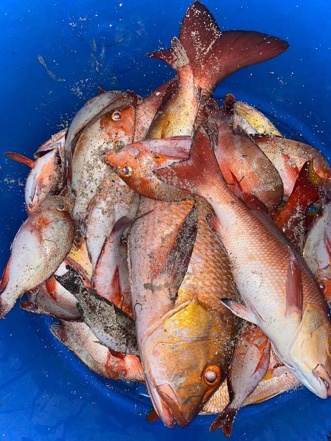 Rashuthere Maldives Rasdhoo Bagian luar foto