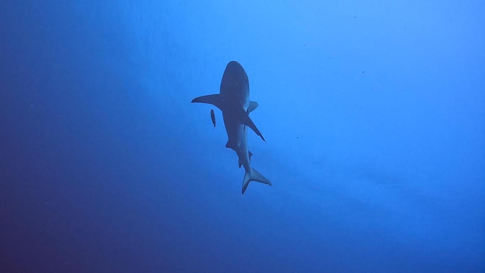 Rashuthere Maldives Rasdhoo Bagian luar foto