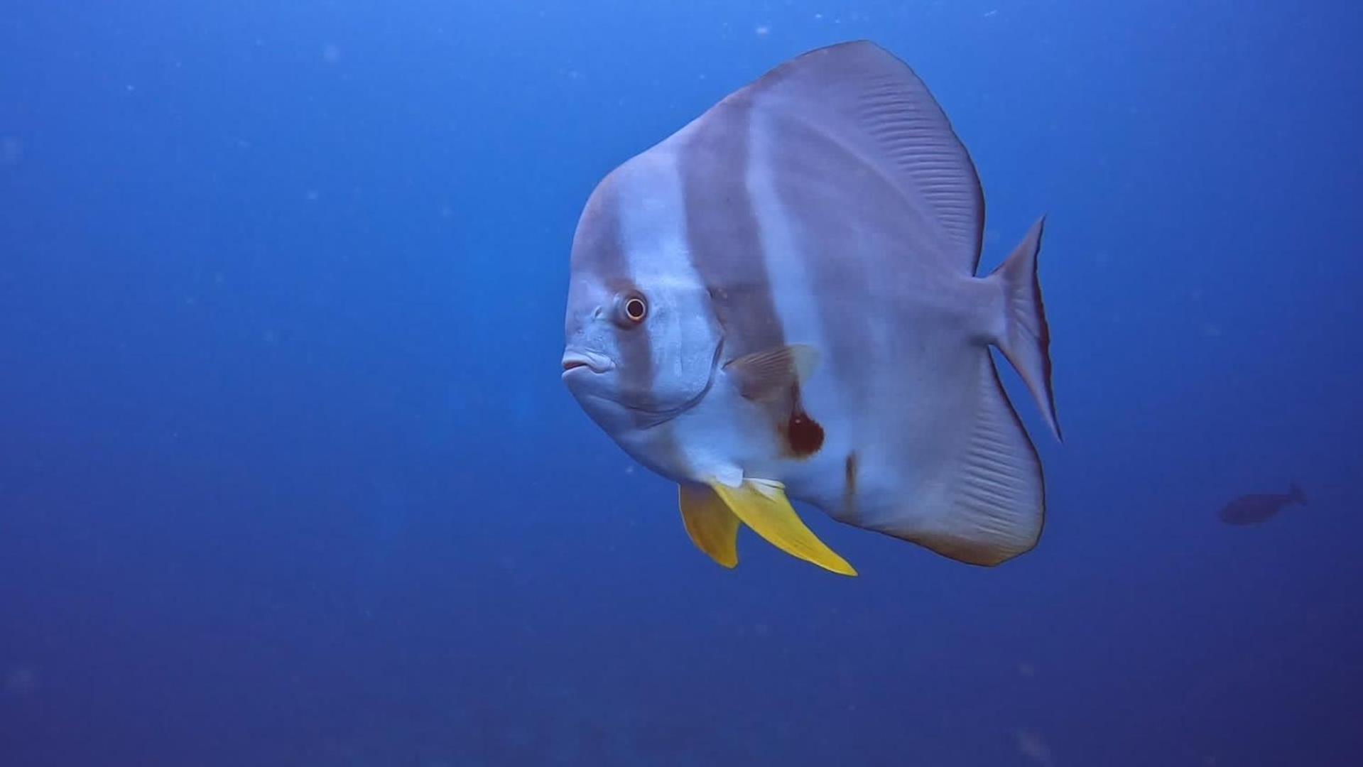 Rashuthere Maldives Rasdhoo Bagian luar foto