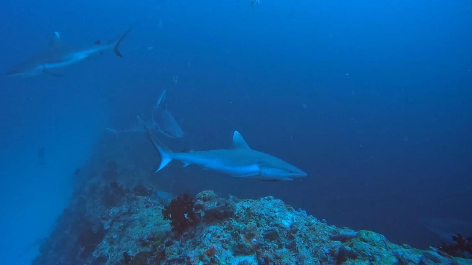 Rashuthere Maldives Rasdhoo Bagian luar foto