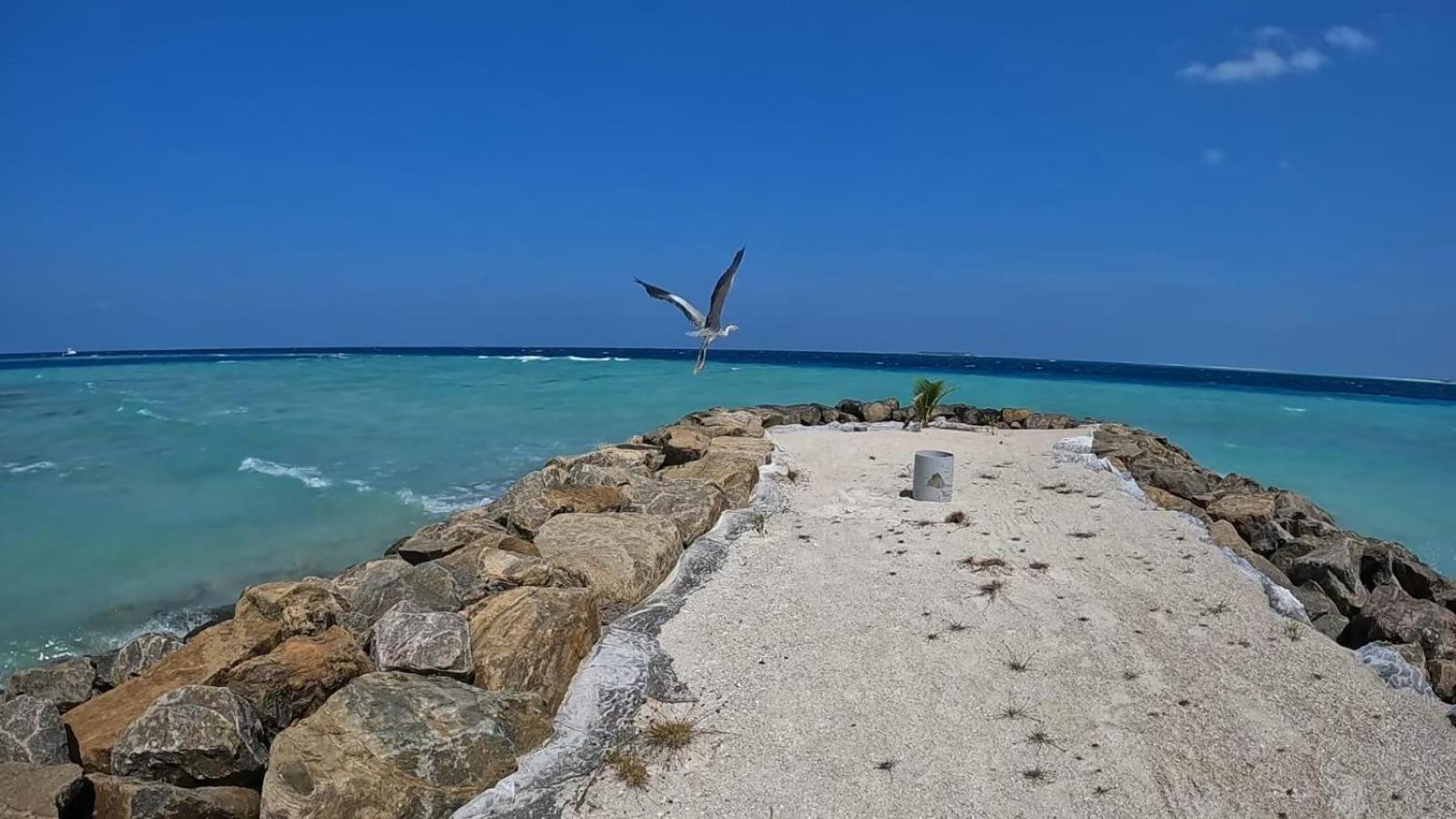 Rashuthere Maldives Rasdhoo Bagian luar foto