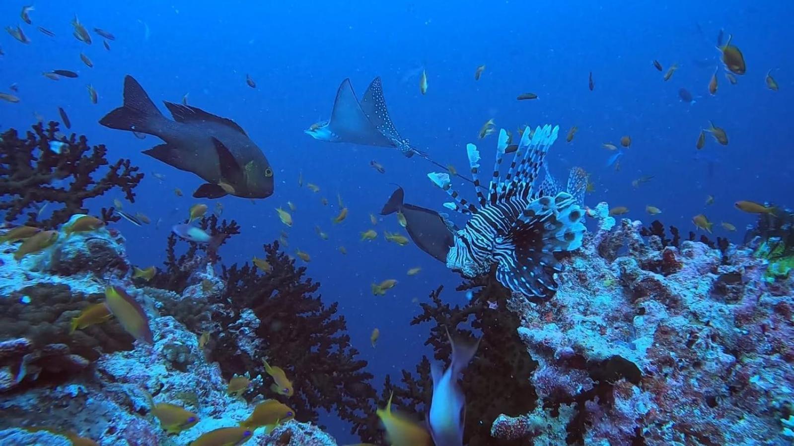 Rashuthere Maldives Rasdhoo Bagian luar foto